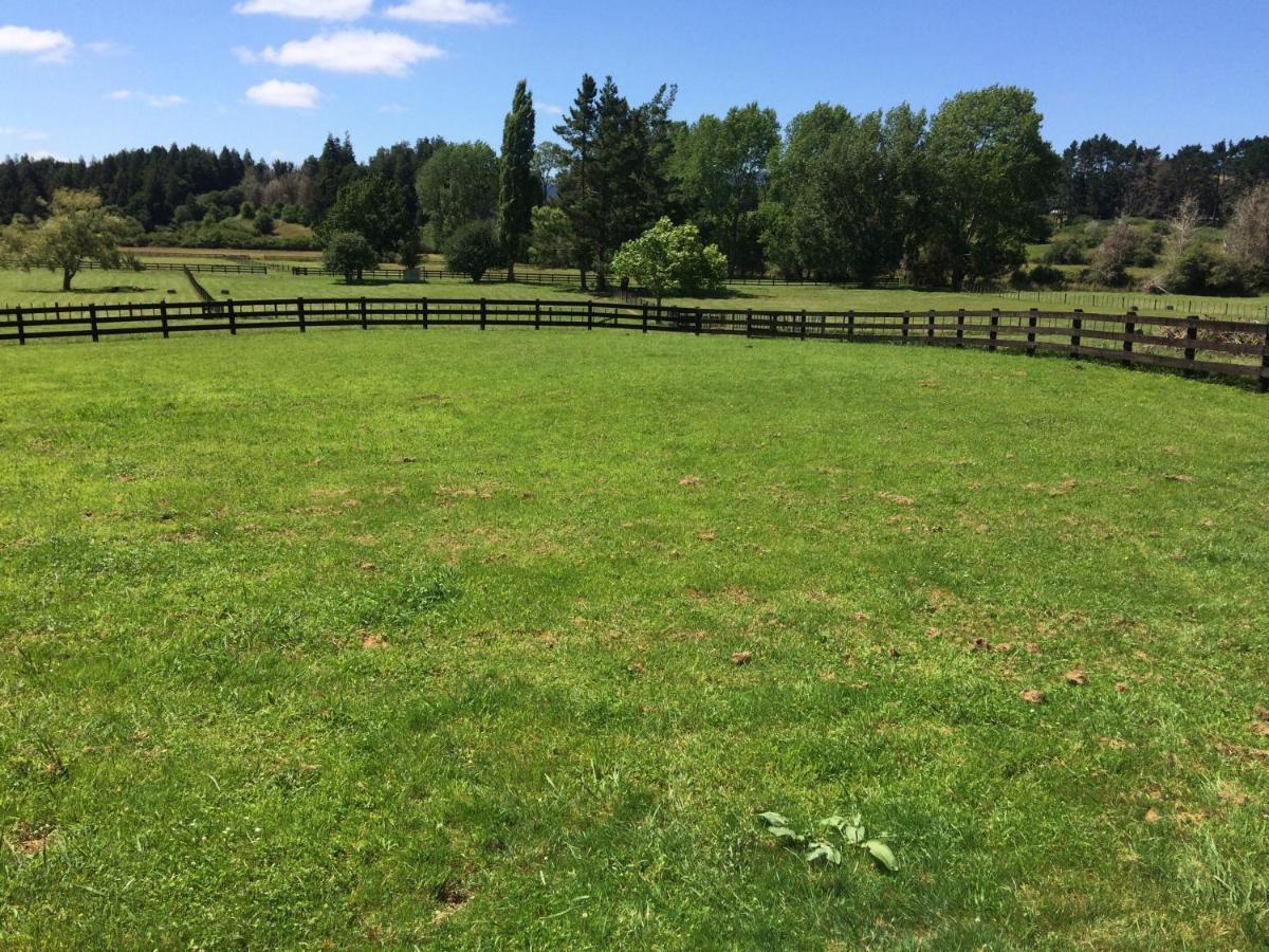 Hunua Ranges Bed & Breakfast Luaran gambar