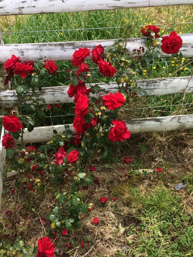 Hunua Ranges Bed & Breakfast Luaran gambar
